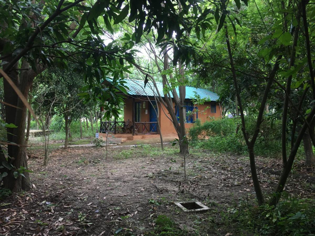 Hotel Camp Hornbill Corbett Rāmnagar Exterior foto
