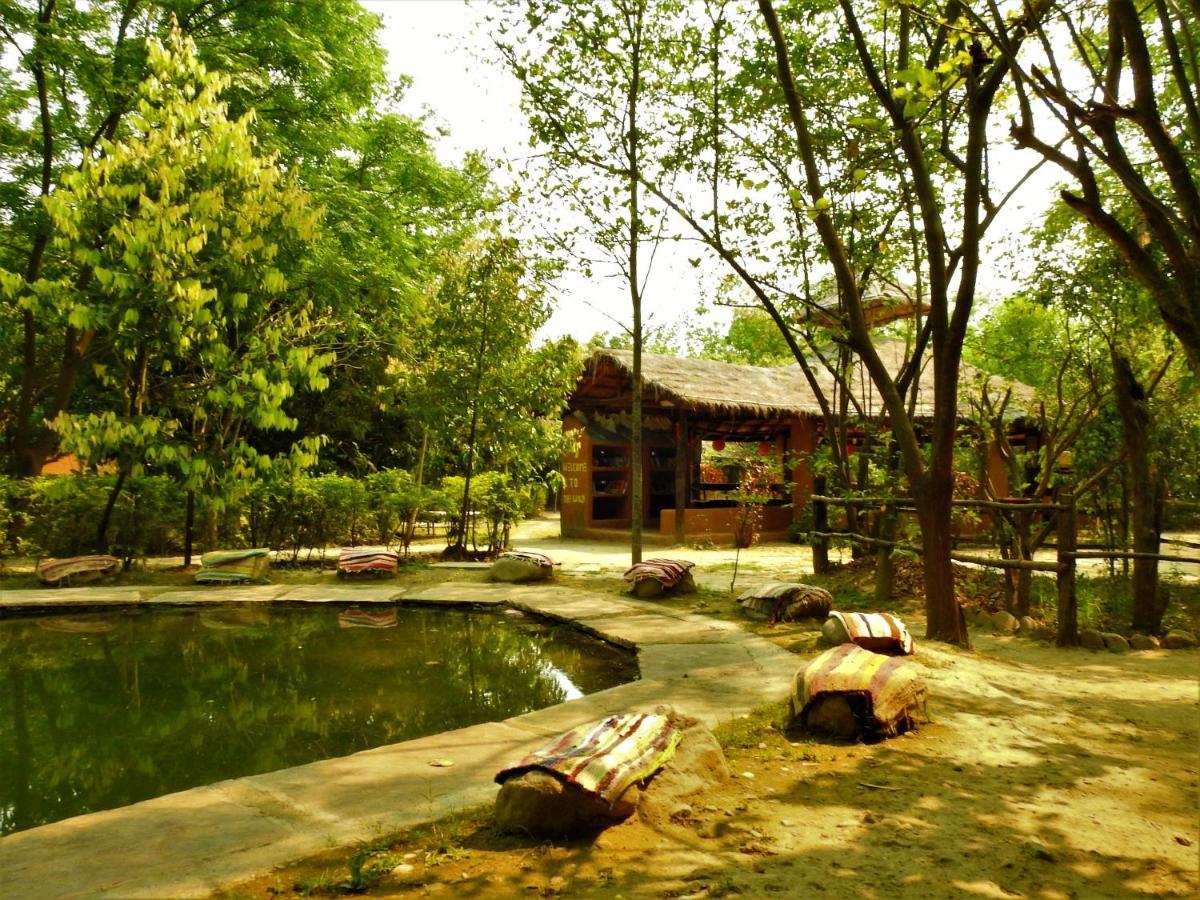Hotel Camp Hornbill Corbett Rāmnagar Exterior foto