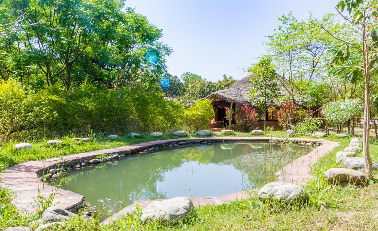 Hotel Camp Hornbill Corbett Rāmnagar Exterior foto